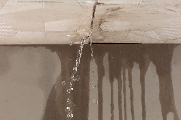 Professional Flood Damage Cleanup technician working in Golden's Bridge, NY